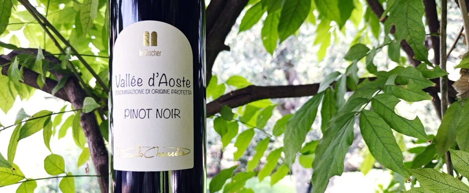 MenoDodiciIGP: Valleé d’Aoste Pinot Noir 2021 Le Clocher