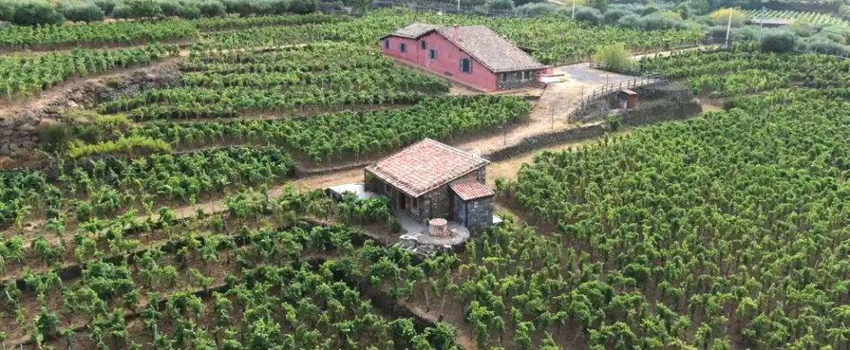 InvecchiatIGP Ante 2013  Custodi delle Vigne dell’Etna