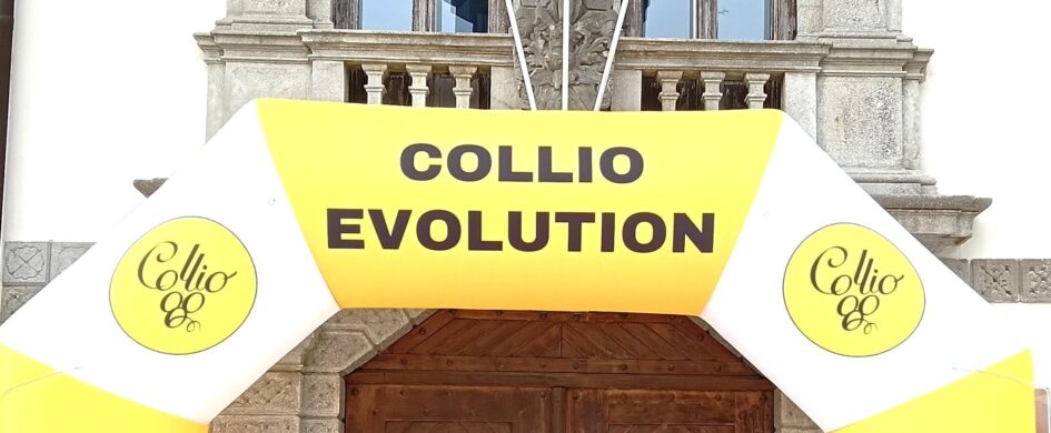 Collio Evolution: il Pinot Grigio deve trovare una "terza via"