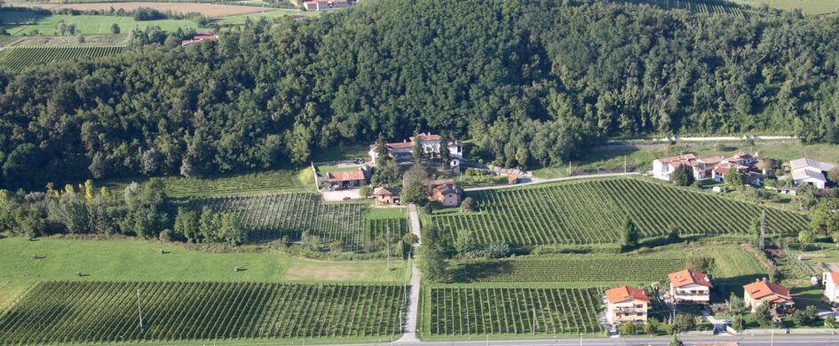 InvecchiatIGP: Venezia Gulia Pinot Grigio Ramato Contelucio 2015 (in magnum), La Bellanotte